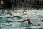 Swimming vs Babson  Wheaton College Swimming vs Babson College. - Photo By: KEITH NORDSTROM : Wheaton, Swimming, Babson